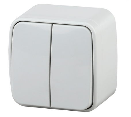 ЭРА Intro  Polo  Белый  Выключатель 2-клавишный, 10A-250В, открытая установка Б0036095